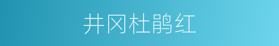 井冈杜鹃红的同义词