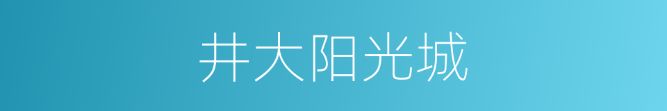 井大阳光城的同义词