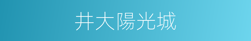 井大陽光城的同義詞