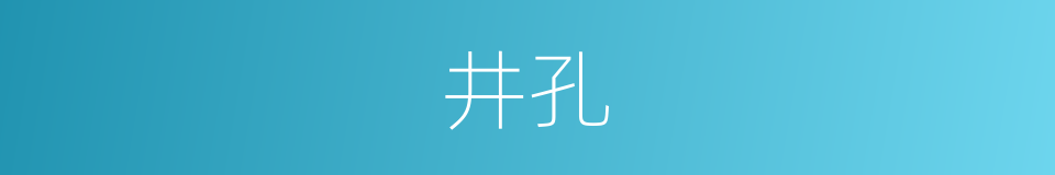 井孔的意思