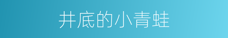 井底的小青蛙的同义词