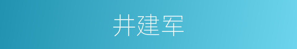 井建军的同义词