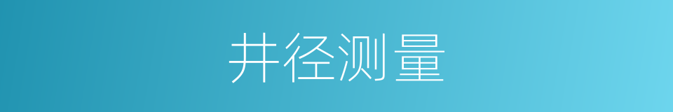 井径测量的同义词