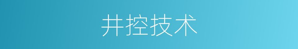 井控技术的同义词