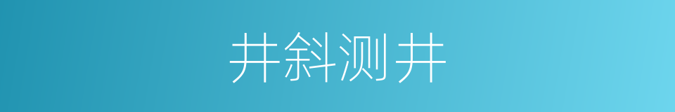 井斜测井的同义词