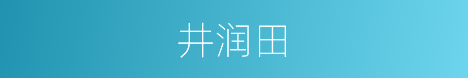 井润田的同义词