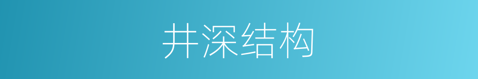 井深结构的同义词
