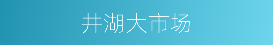 井湖大市场的同义词