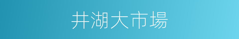 井湖大市場的同義詞