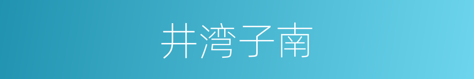 井湾子南的同义词