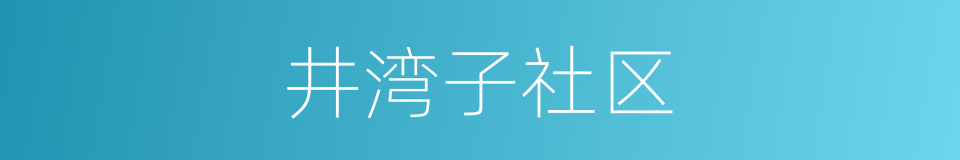 井湾子社区的同义词