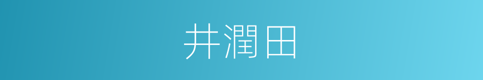 井潤田的同義詞