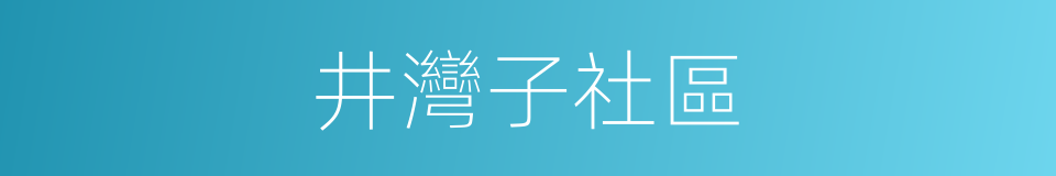 井灣子社區的意思