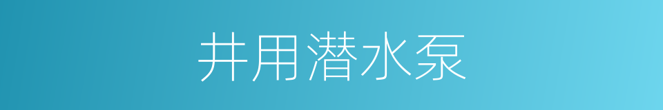 井用潜水泵的同义词