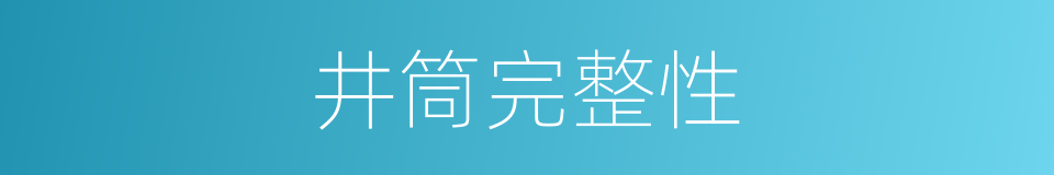 井筒完整性的同义词