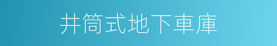 井筒式地下車庫的同義詞