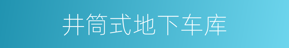 井筒式地下车库的同义词