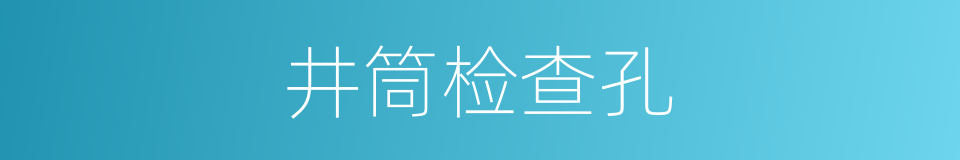 井筒检查孔的同义词