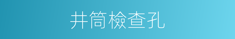 井筒檢查孔的同義詞