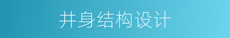 井身结构设计的同义词