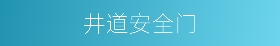 井道安全门的同义词