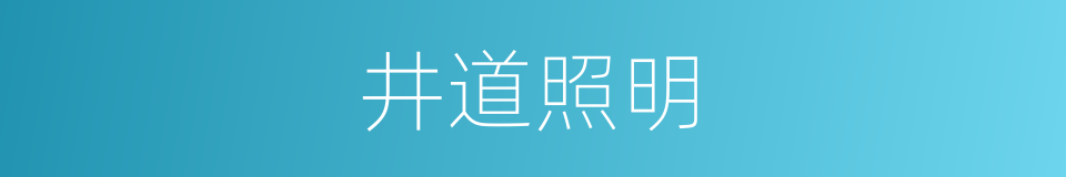 井道照明的同义词