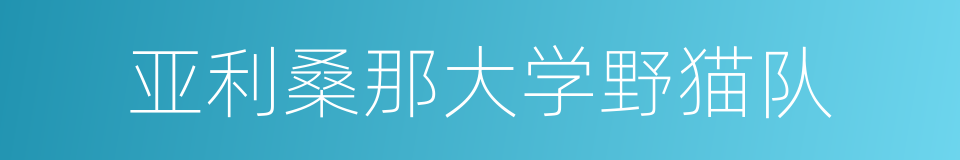 亚利桑那大学野猫队的同义词