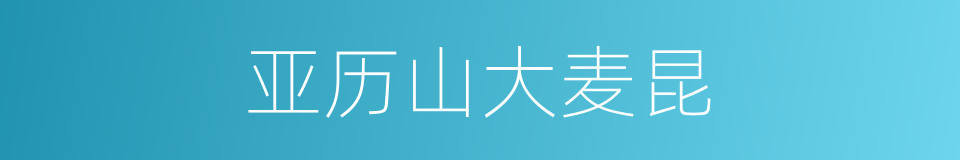 亚历山大麦昆的同义词