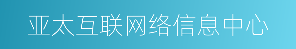 亚太互联网络信息中心的同义词