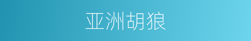 亚洲胡狼的同义词