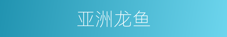 亚洲龙鱼的同义词