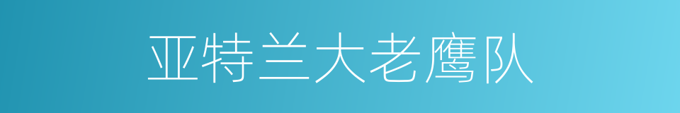 亚特兰大老鹰队的同义词
