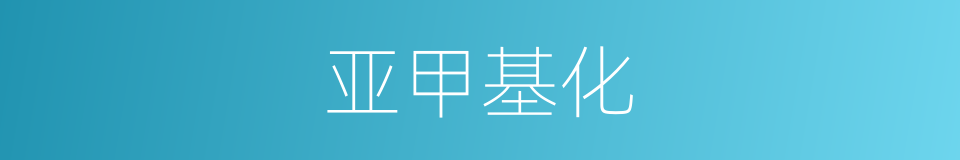 亚甲基化的同义词