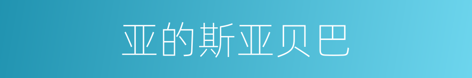 亚的斯亚贝巴的同义词