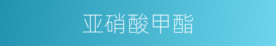 亚硝酸甲酯的同义词