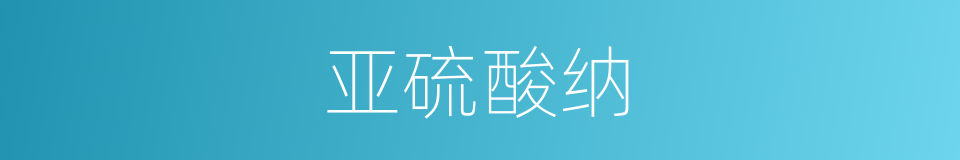 亚硫酸纳的同义词