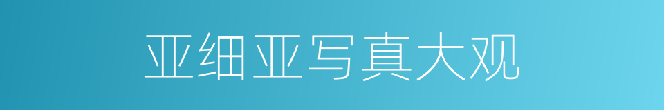 亚细亚写真大观的同义词