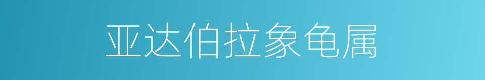 亚达伯拉象龟属的同义词