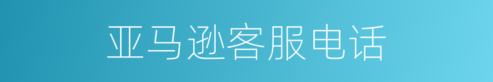 亚马逊客服电话的同义词
