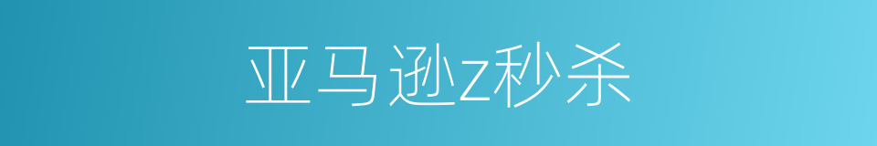 亚马逊z秒杀的同义词