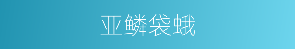 亚鳞袋蛾的同义词
