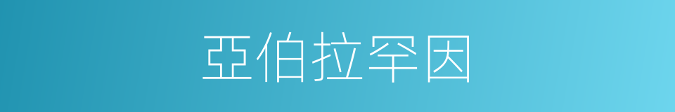 亞伯拉罕因的同義詞