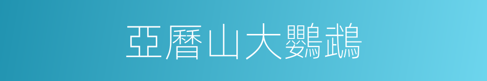 亞曆山大鸚鵡的同義詞