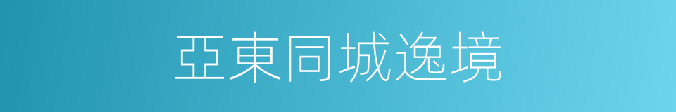 亞東同城逸境的同義詞