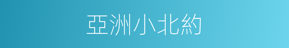 亞洲小北約的同義詞