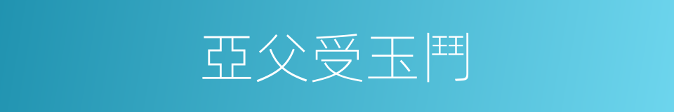 亞父受玉鬥的同義詞