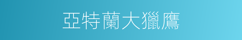 亞特蘭大獵鷹的同義詞