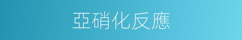 亞硝化反應的同義詞