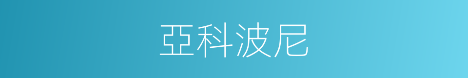 亞科波尼的同義詞