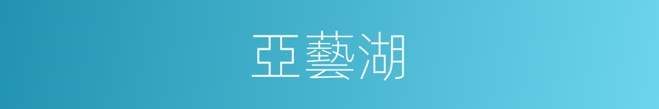 亞藝湖的同義詞